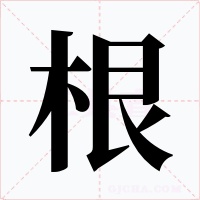 根字的字形和写法