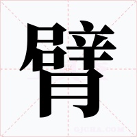 臂字的字形和写法