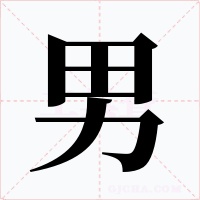 男字的字形和写法