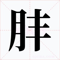 肨字的字形和写法