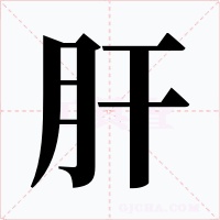 肝字的字形和写法