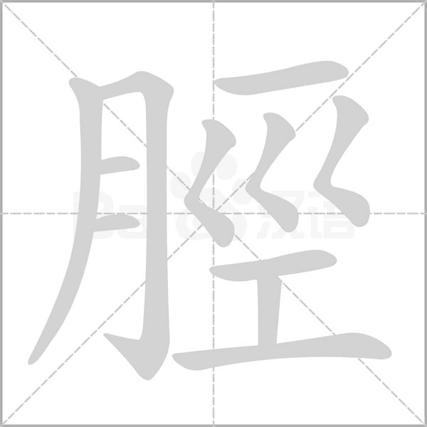 脛字笔顺图