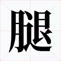 腿字的字形和写法