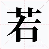 若字的字形和写法