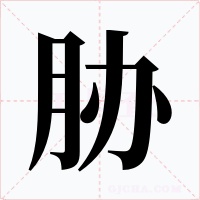 胁字的字形和写法