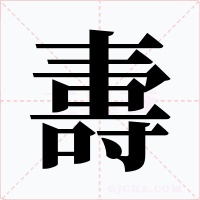 夀字字形