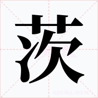 茨字字形