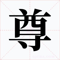 尊字的字形和写法