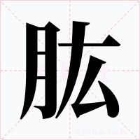肱字的字形和写法