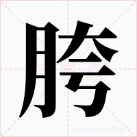 胯字字形