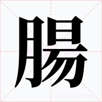 腸字的字形和写法