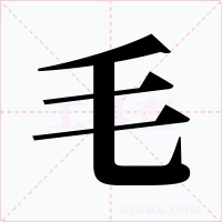 毛字字形
