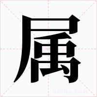属字的字形和写法