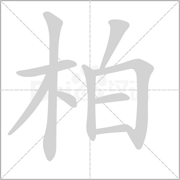 柏字笔顺图