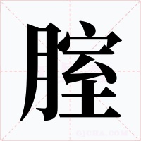 腟字字形