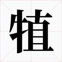 犆字字形