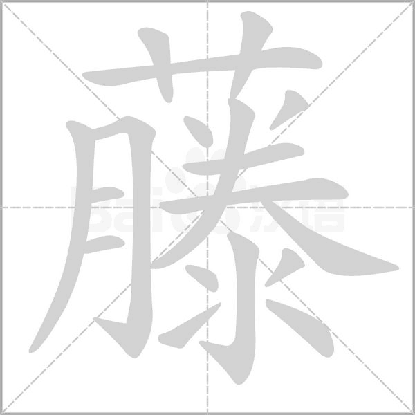 藤字笔顺图