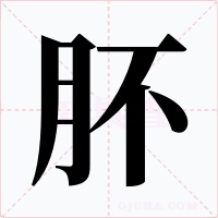 肧字字形