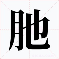 肔字字形