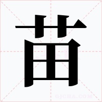 苗字的字形和写法