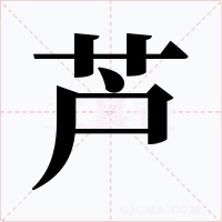芦字的字形和写法