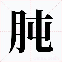 肫字字形