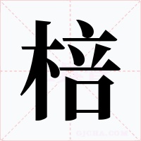 棓字字形