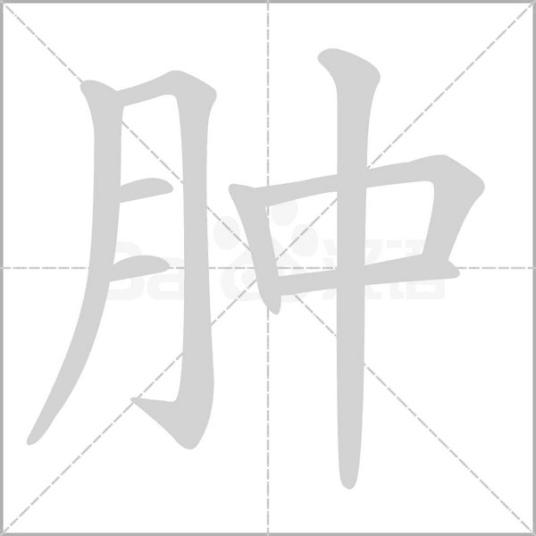 肿字笔顺图