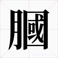 膕字字形