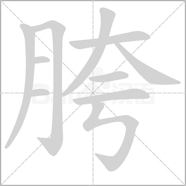 胯字笔顺图