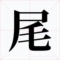 尾字的字形和写法
