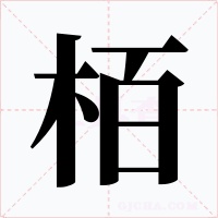 栢字的字形和写法