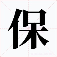 保字的字形和写法