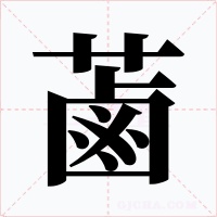 蓾字的字形和写法