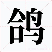 鸽字的字形和写法