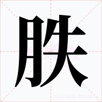 胅字字形
