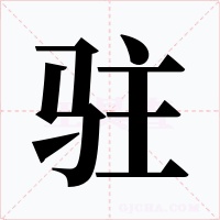 驻字的字形和写法