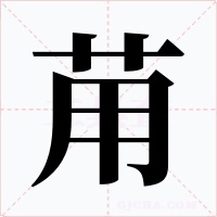 苚字的字形和写法