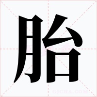 胎字的字形和写法