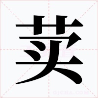 荬字的字形和写法