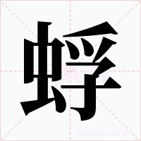 蜉字的字形和写法