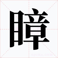 瞕字字形