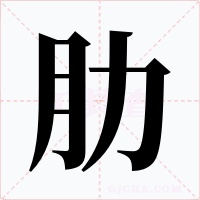 肋字字形