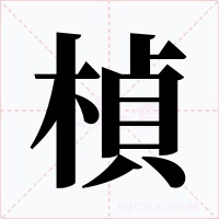 楨字的字形和写法