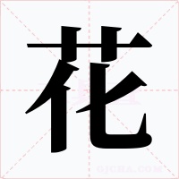 花字的字形和写法