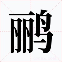 鹂字的字形和写法