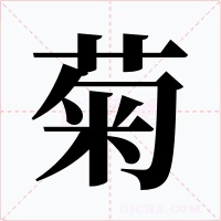 菊字字形