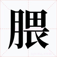 腲字的字形和写法