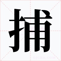 捕字的字形和写法
