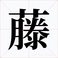 藤字的字形和写法